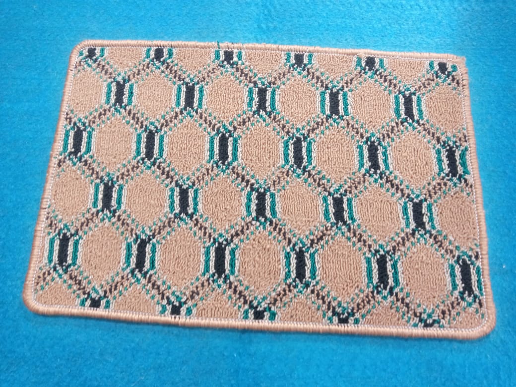Door Mat Modern Design Thick Pile Rug Small Mat (Random Design Delivered)