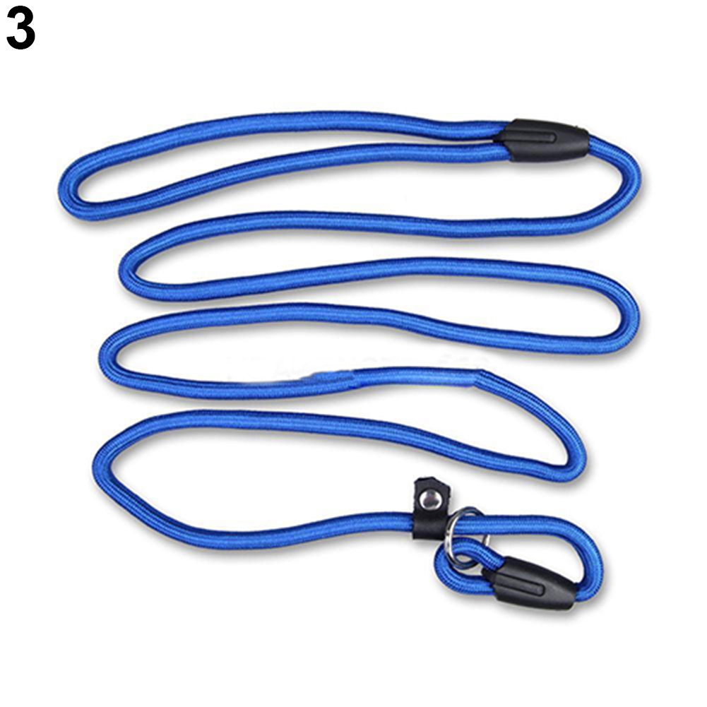 nylon training leash