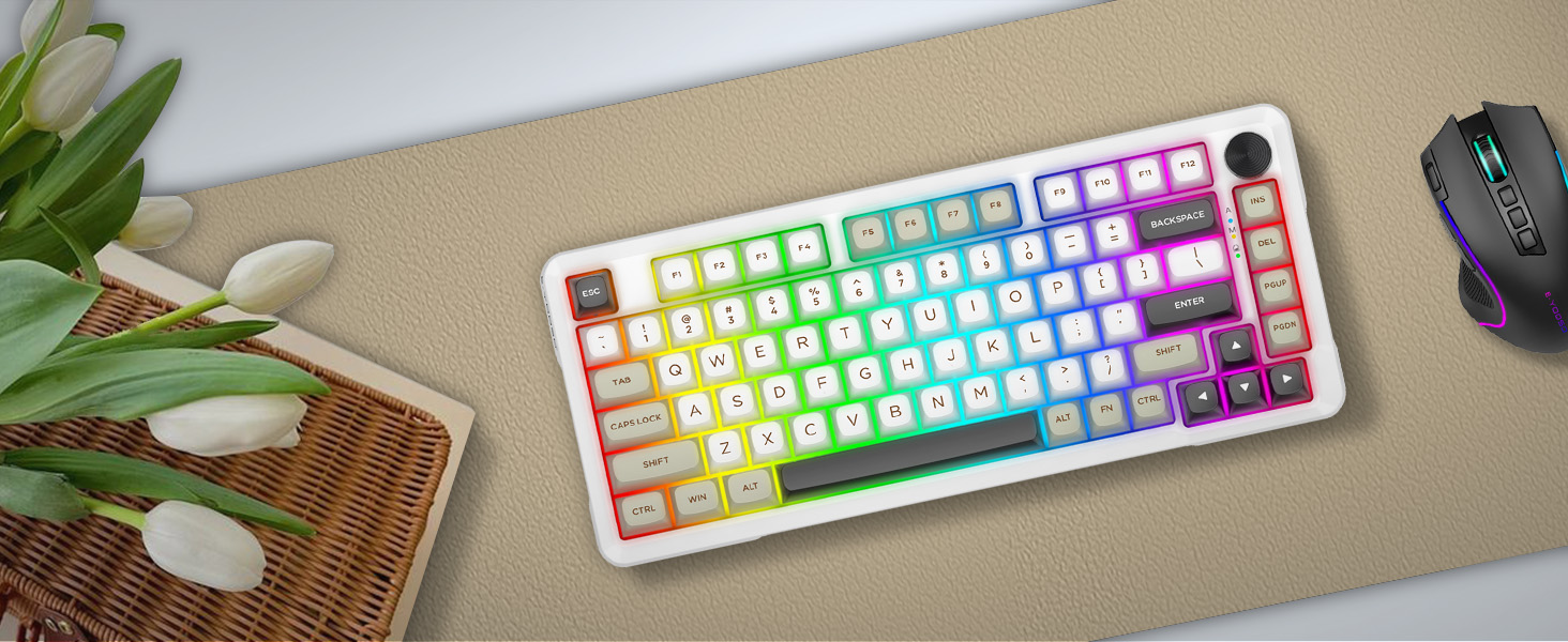 E-YOOSO Z-82 Tri-Mode Wireless 75% Gaming RGB Mechanical Keyboard Hot Swappable with Five-Layer Padding & Knob, Bluetooth/2.4GHz/USB-C, White Grey 20 fd7af7c4568de3b9c9278ad183a80ccd