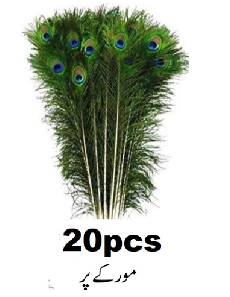 20Pcs Peacock Feather Tail Eye 70Cm-80Cm Height (Natural Original Real)