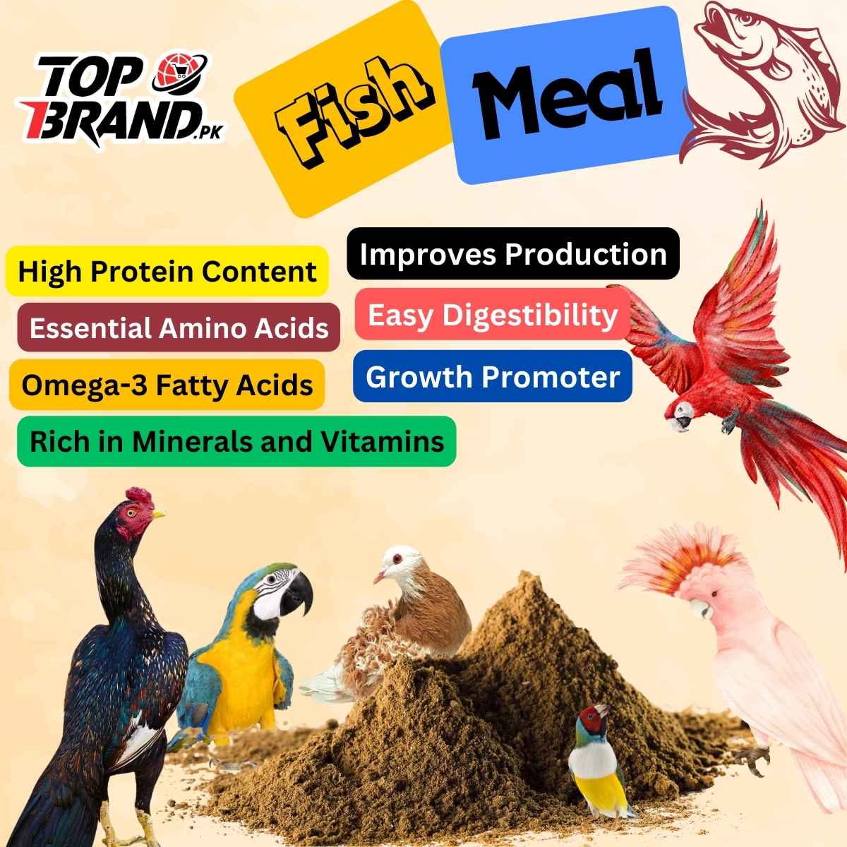 Premium Fish Meal - High Protein Supplement for Birds, Poultry, and Livestock (Dry Fish Powder) (Fishmeal)