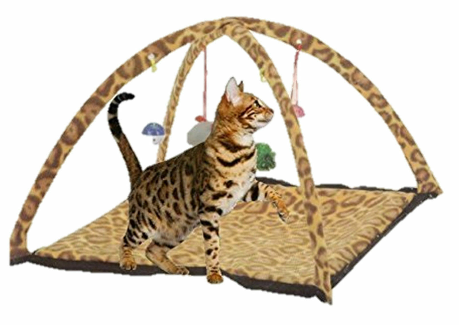 kitten play tent
