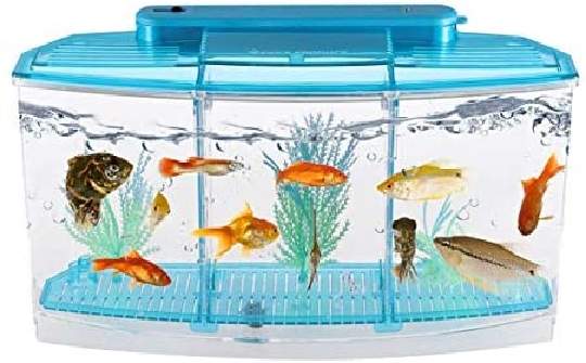 small plastic aquarium