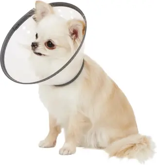 e collar for pets